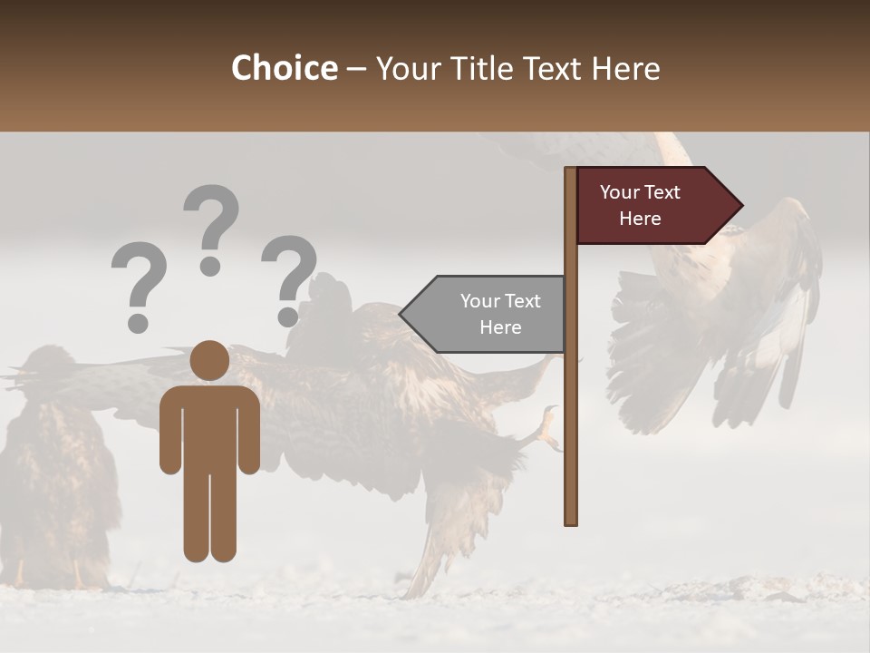 A Couple Of Birds That Are Flying In The Air PowerPoint Template