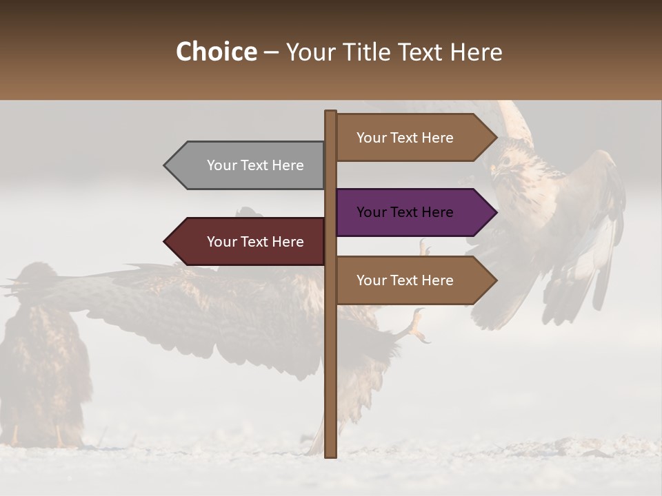 A Couple Of Birds That Are Flying In The Air PowerPoint Template