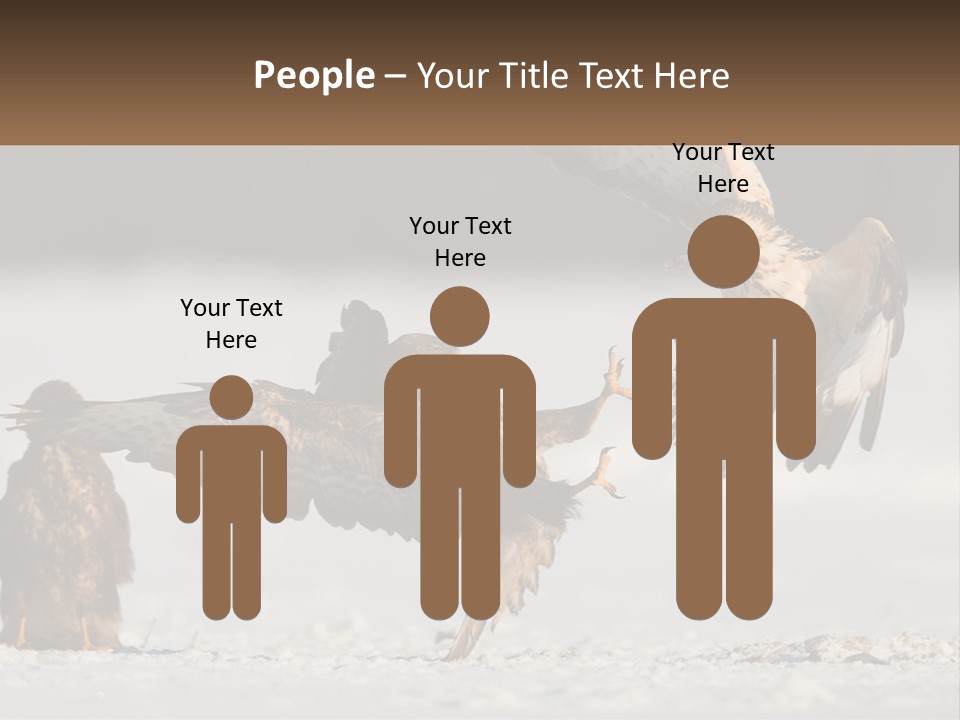 A Couple Of Birds That Are Flying In The Air PowerPoint Template