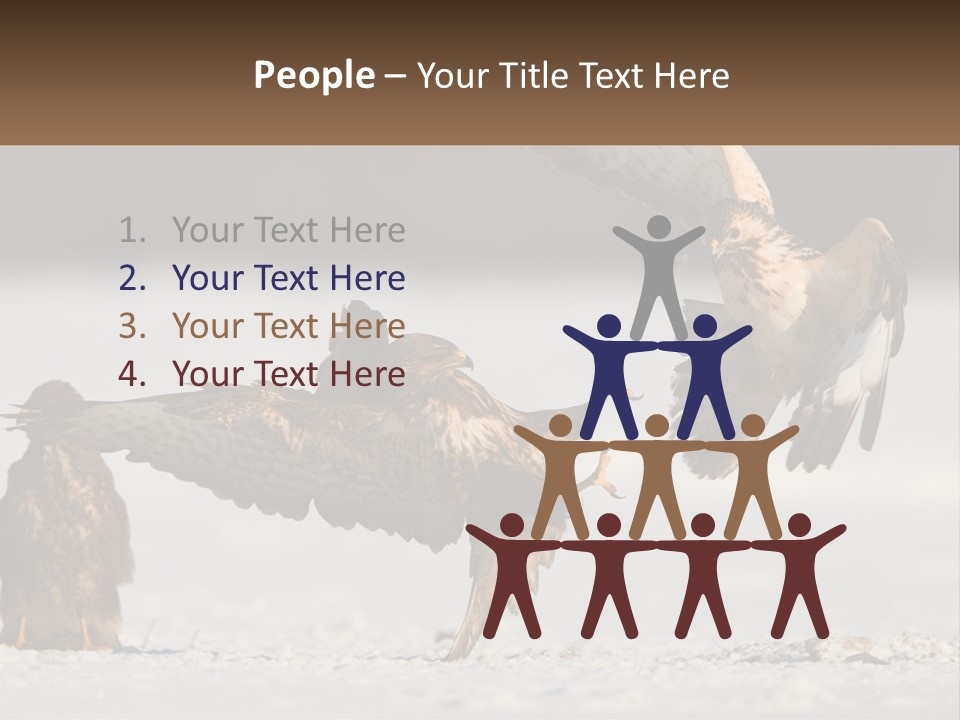 A Couple Of Birds That Are Flying In The Air PowerPoint Template