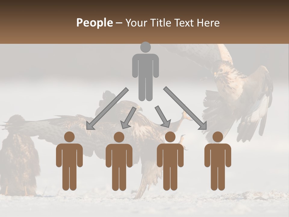 A Couple Of Birds That Are Flying In The Air PowerPoint Template