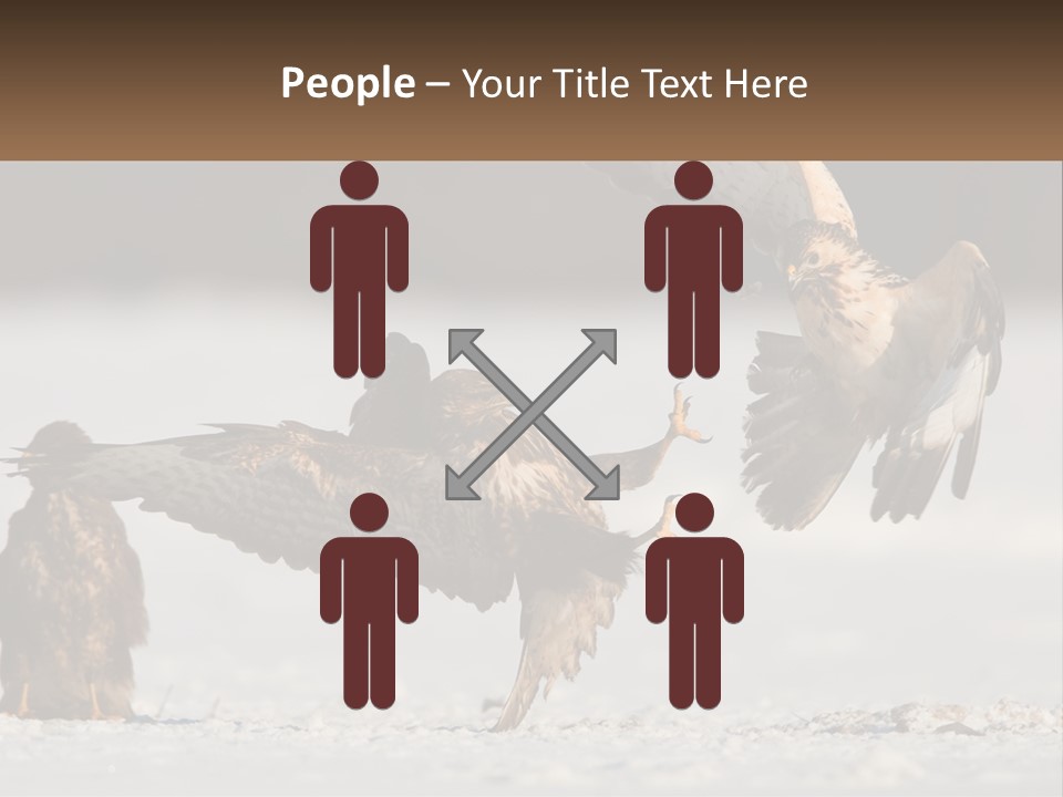 A Couple Of Birds That Are Flying In The Air PowerPoint Template