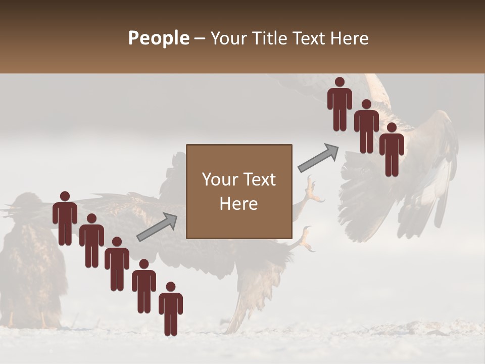 A Couple Of Birds That Are Flying In The Air PowerPoint Template