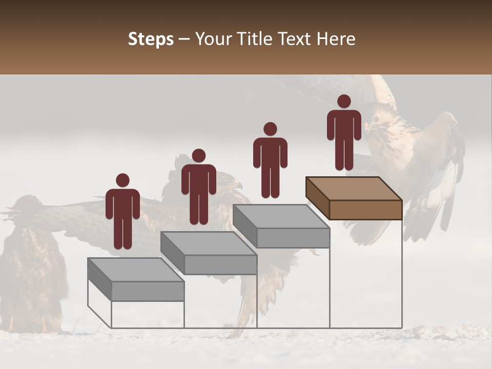 A Couple Of Birds That Are Flying In The Air PowerPoint Template