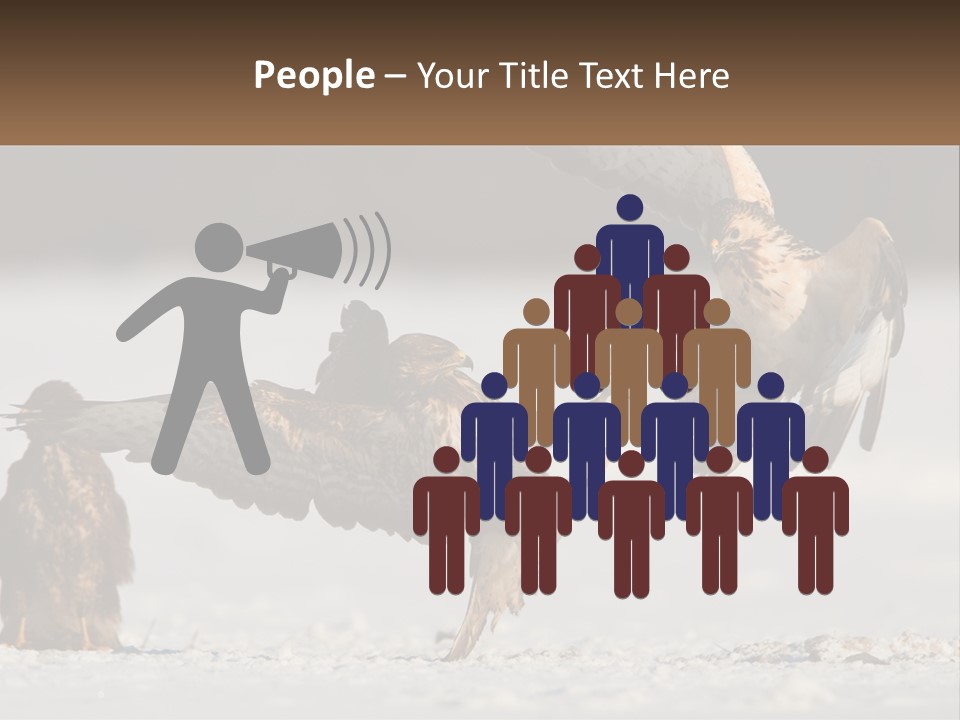 A Couple Of Birds That Are Flying In The Air PowerPoint Template