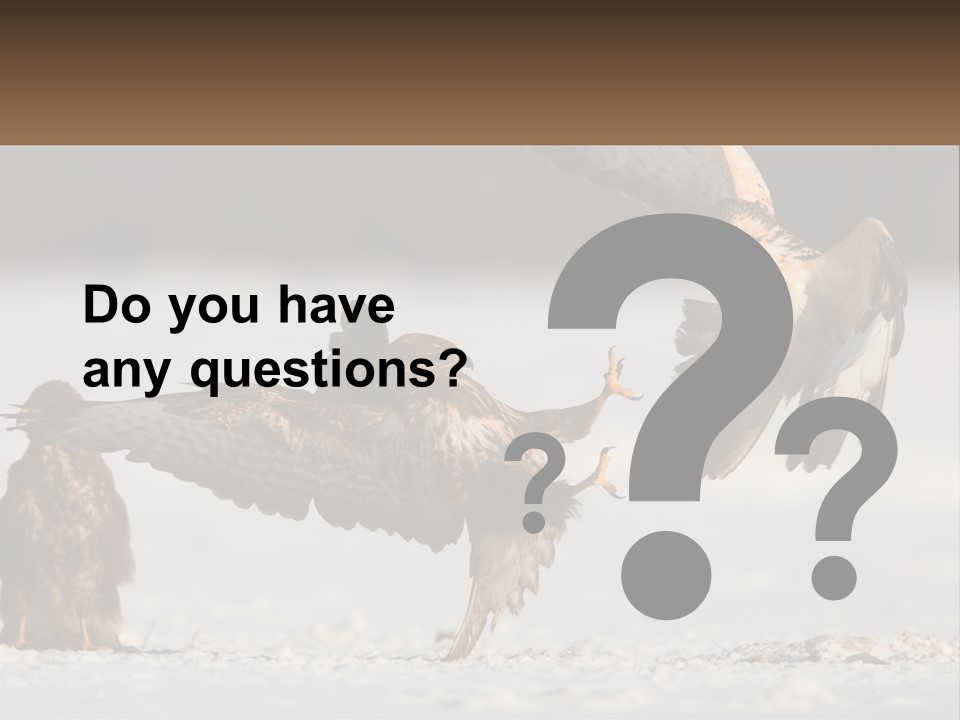 A Couple Of Birds That Are Flying In The Air PowerPoint Template
