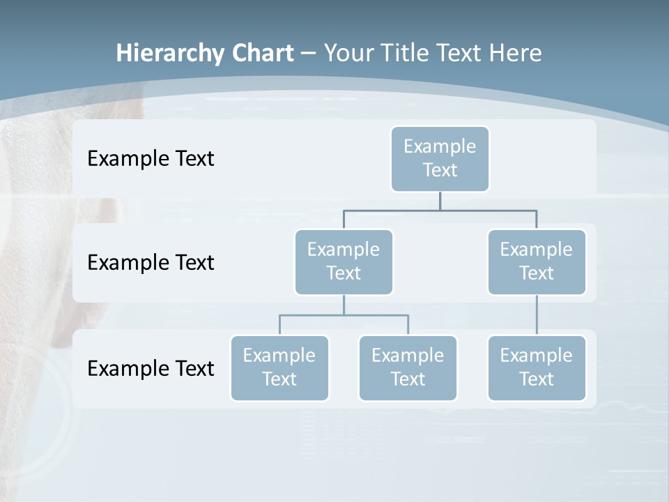 A Woman's Face With A Futuristic Interface In The Background PowerPoint Template