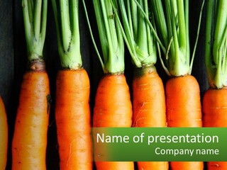 A Bunch Of Carrots Are Lined Up In A Row PowerPoint Template