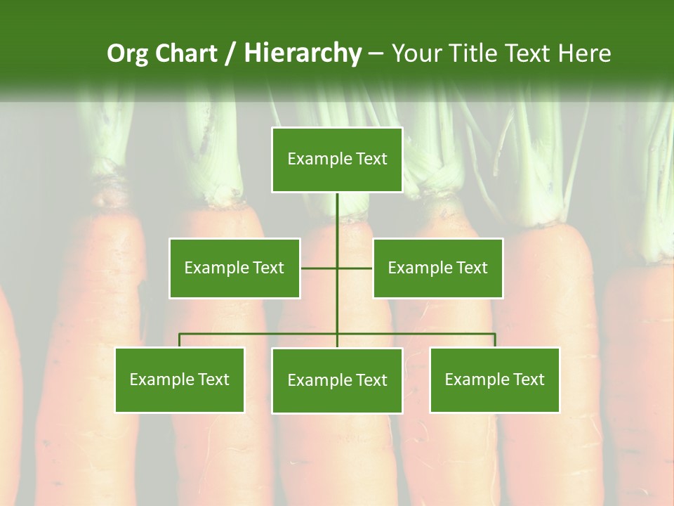 A Bunch Of Carrots Are Lined Up In A Row PowerPoint Template