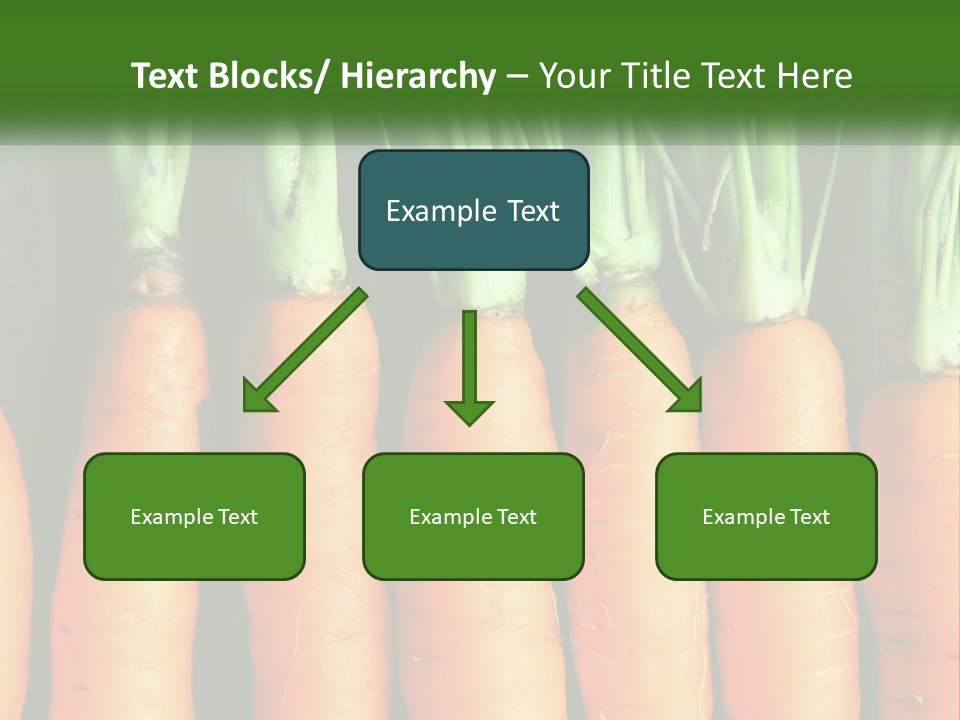 A Bunch Of Carrots Are Lined Up In A Row PowerPoint Template