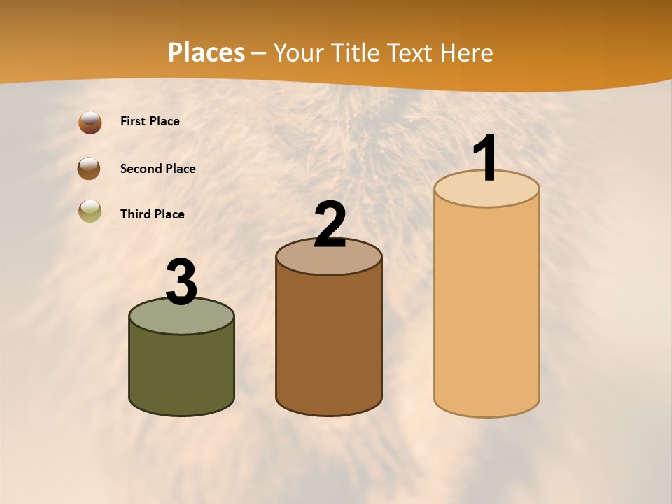 A Small Animal Sitting On Top Of A Tree Stump PowerPoint Template