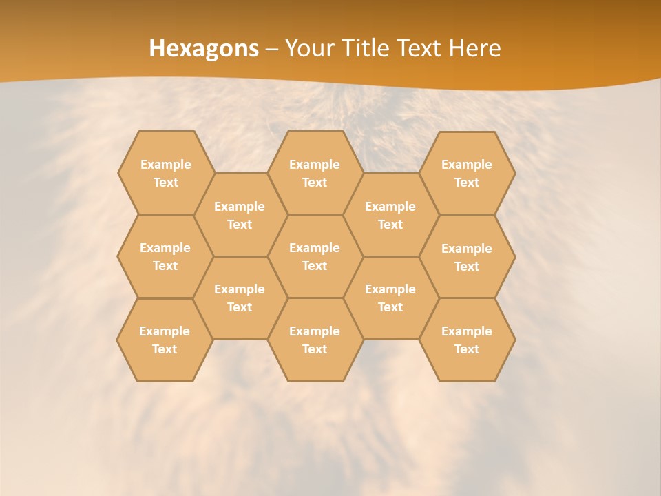 A Small Animal Sitting On Top Of A Tree Stump PowerPoint Template