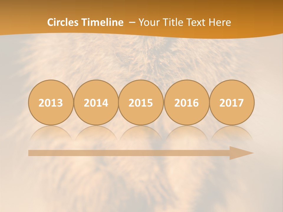 A Small Animal Sitting On Top Of A Tree Stump PowerPoint Template