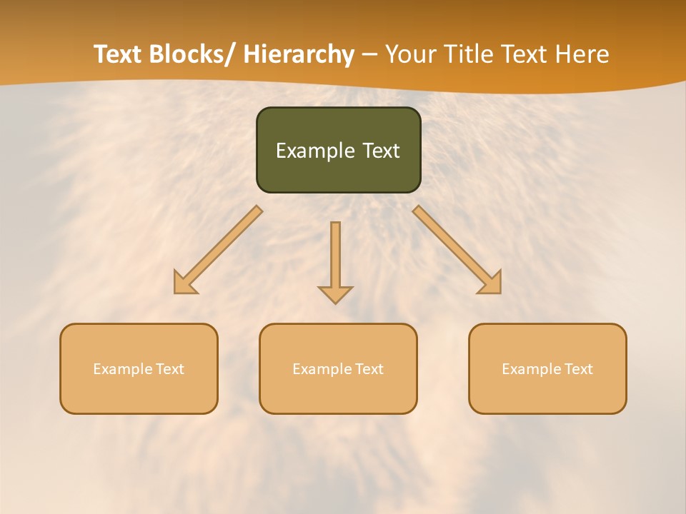 A Small Animal Sitting On Top Of A Tree Stump PowerPoint Template