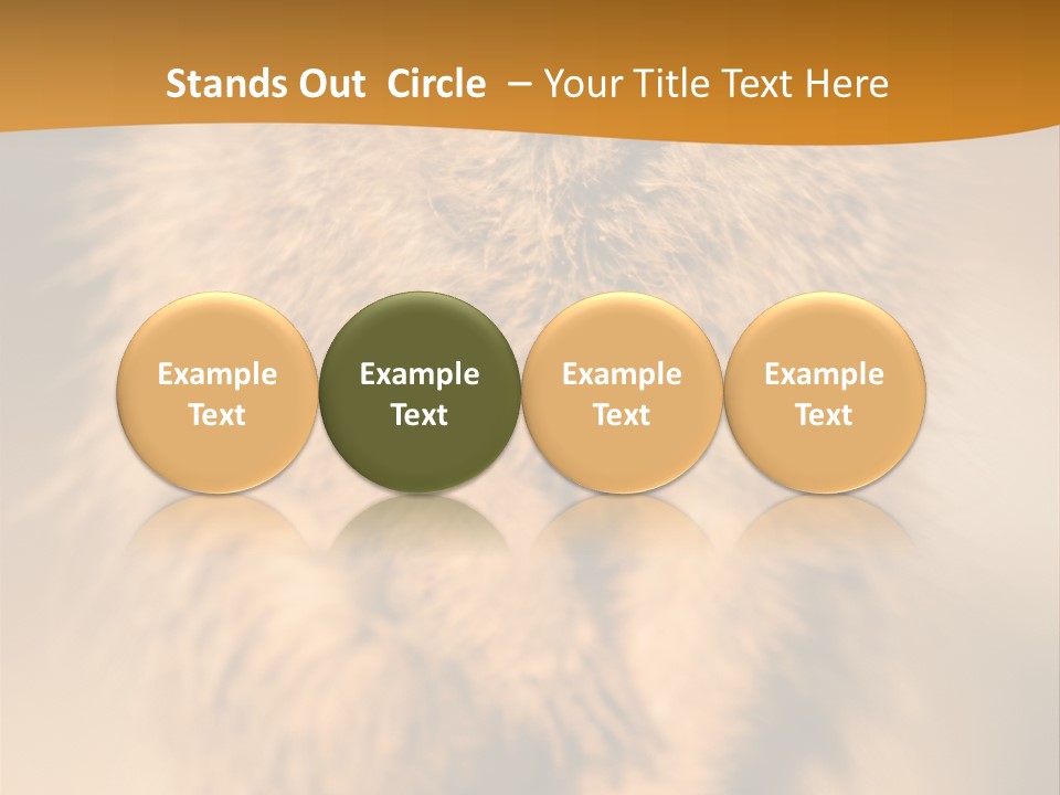 A Small Animal Sitting On Top Of A Tree Stump PowerPoint Template