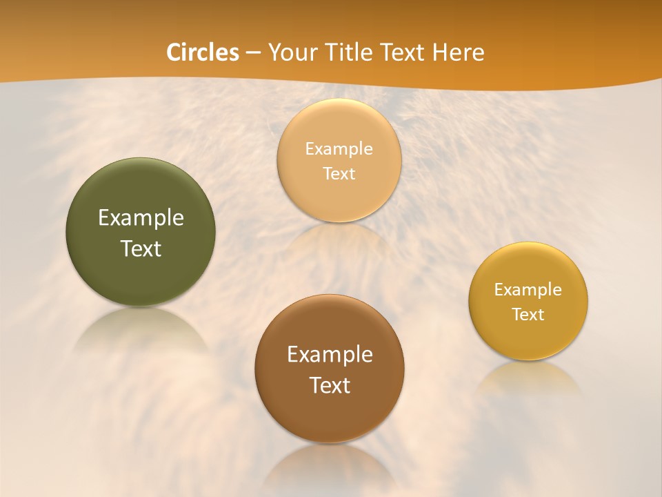 A Small Animal Sitting On Top Of A Tree Stump PowerPoint Template