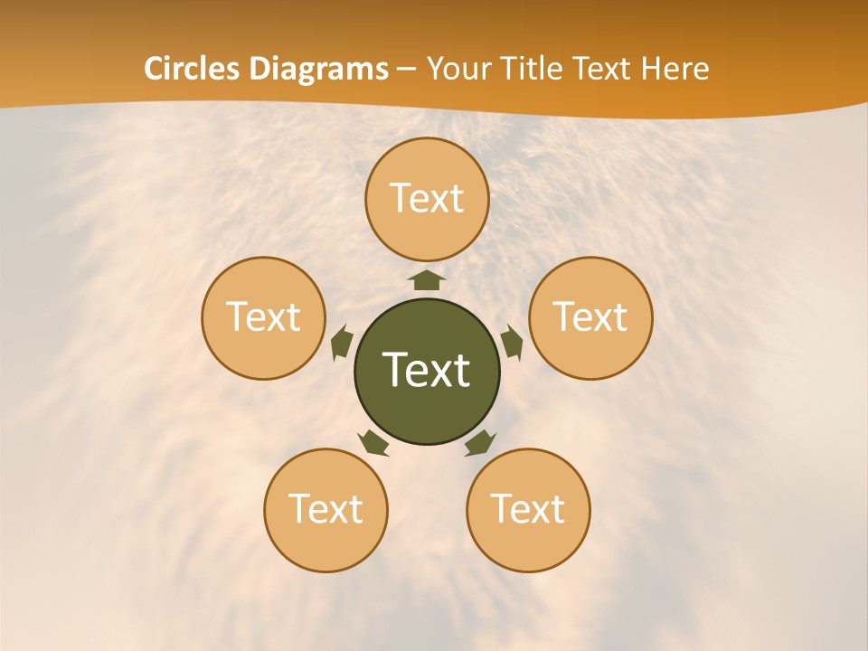 A Small Animal Sitting On Top Of A Tree Stump PowerPoint Template