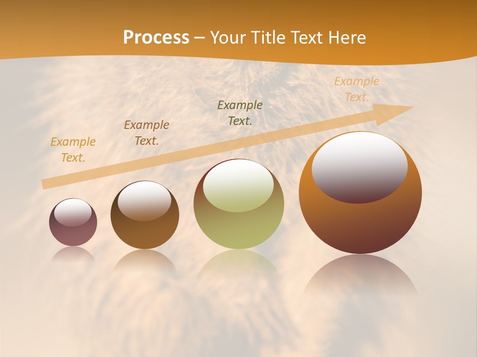 A Small Animal Sitting On Top Of A Tree Stump PowerPoint Template