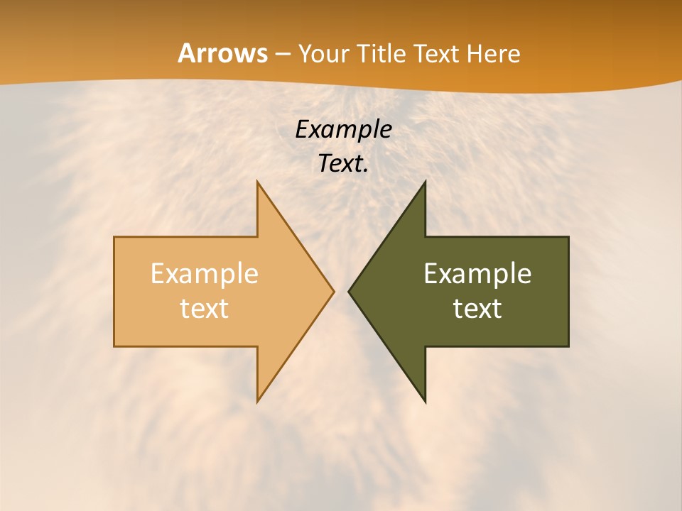 A Small Animal Sitting On Top Of A Tree Stump PowerPoint Template