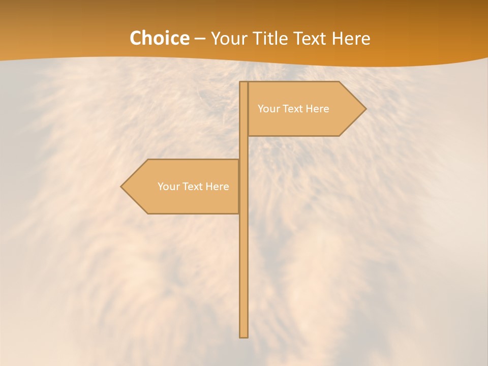 A Small Animal Sitting On Top Of A Tree Stump PowerPoint Template