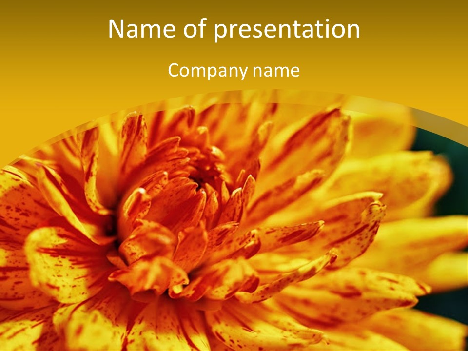 A Close Up Of A Yellow Flower On A Yellow Background PowerPoint Template