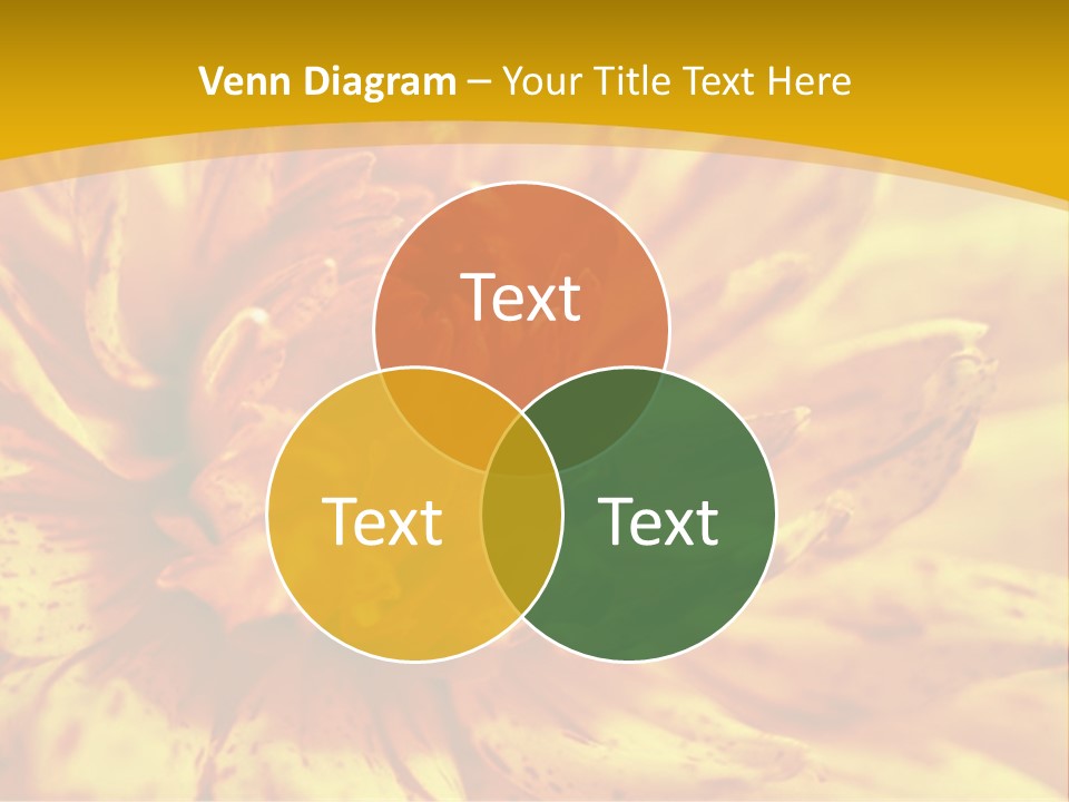 A Close Up Of A Yellow Flower On A Yellow Background PowerPoint Template