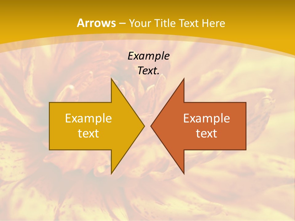 A Close Up Of A Yellow Flower On A Yellow Background PowerPoint Template