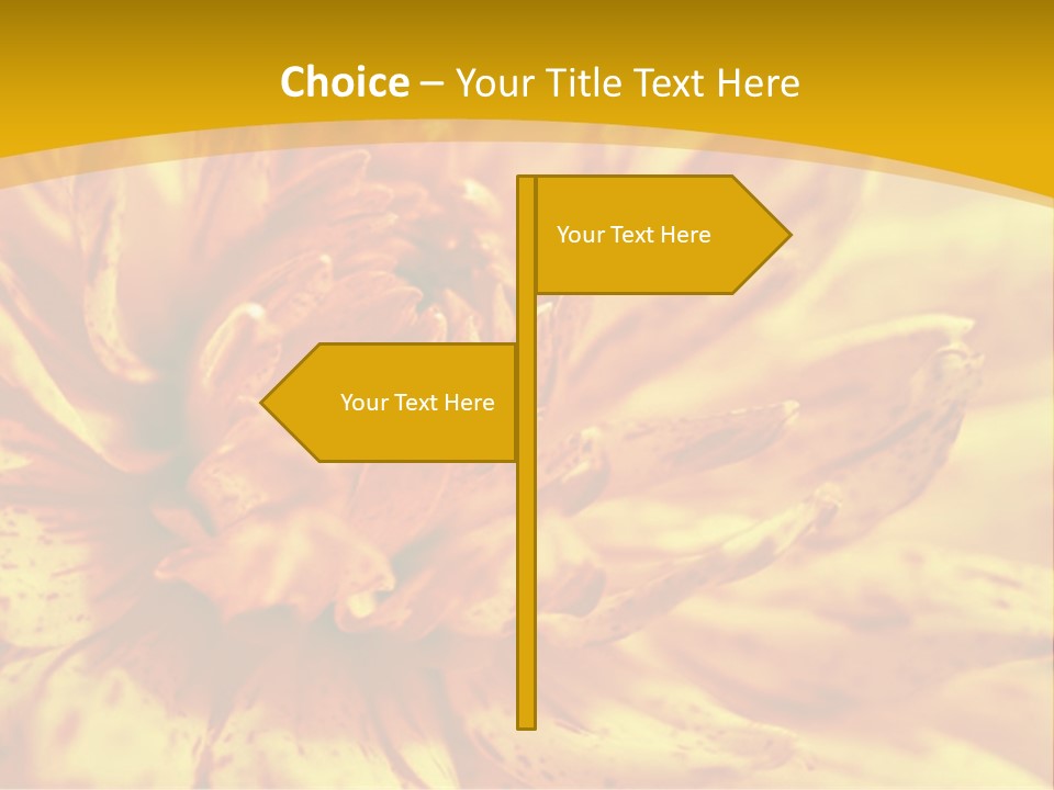 A Close Up Of A Yellow Flower On A Yellow Background PowerPoint Template