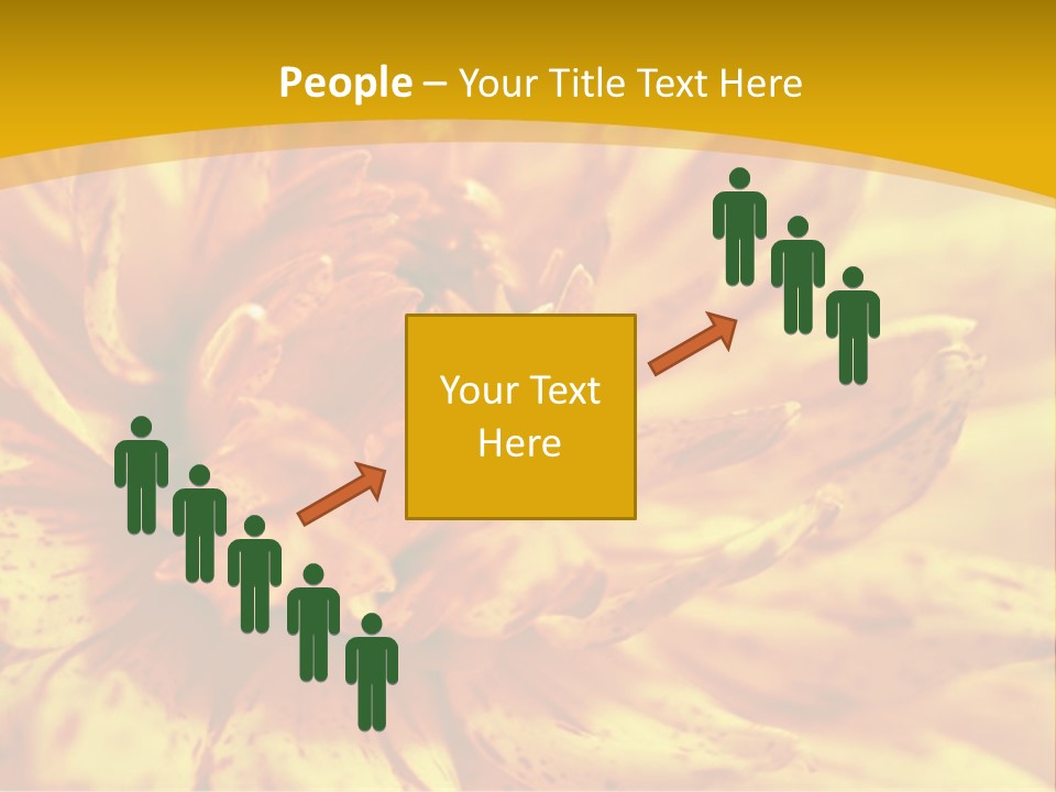 A Close Up Of A Yellow Flower On A Yellow Background PowerPoint Template