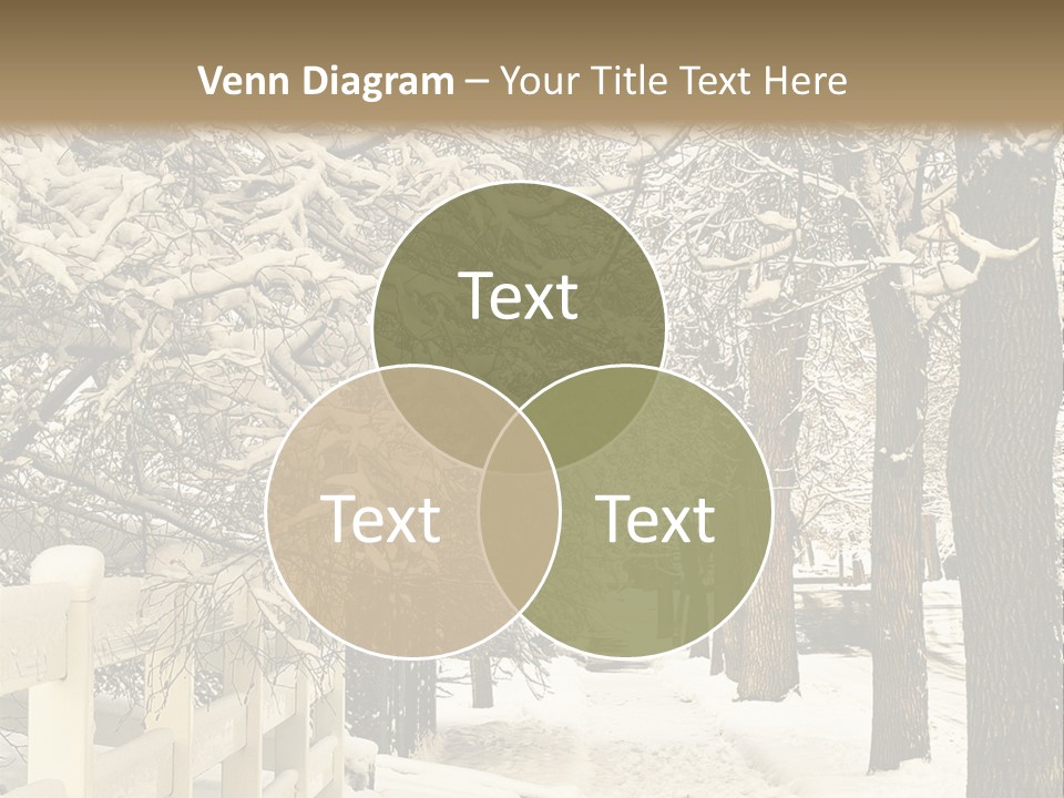 A Snowy Path With Trees And A Fence PowerPoint Template