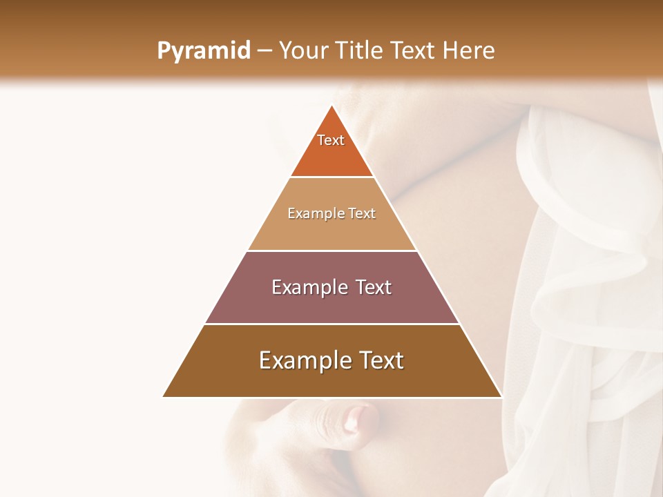 A Pregnant Woman Holding A Flower Powerpoint Presentation PowerPoint Template