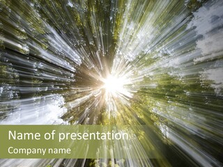 A Sun Burst In The Middle Of A Forest PowerPoint Template