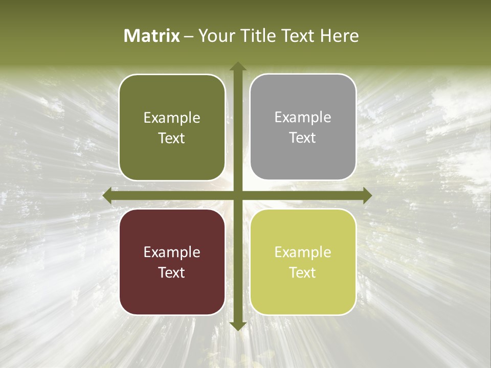 A Sun Burst In The Middle Of A Forest PowerPoint Template