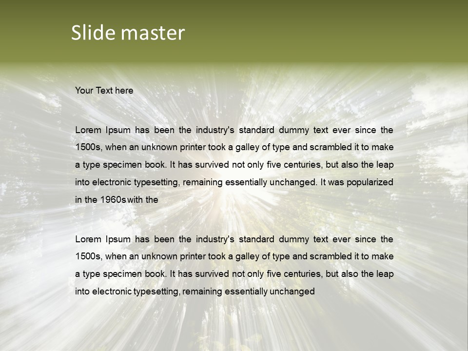 A Sun Burst In The Middle Of A Forest PowerPoint Template