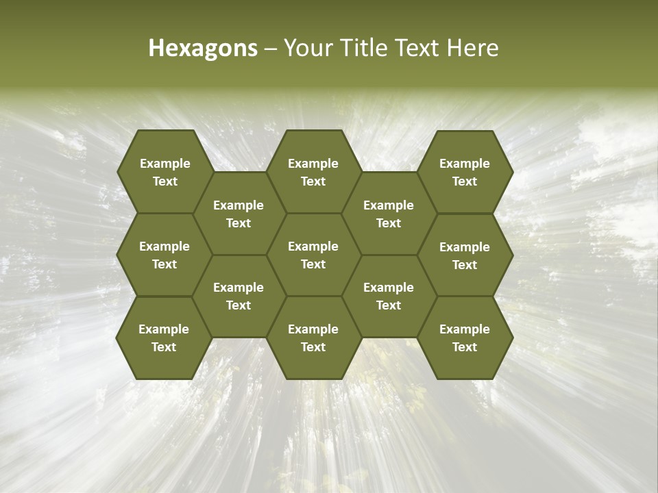 A Sun Burst In The Middle Of A Forest PowerPoint Template