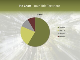 A Sun Burst In The Middle Of A Forest PowerPoint Template