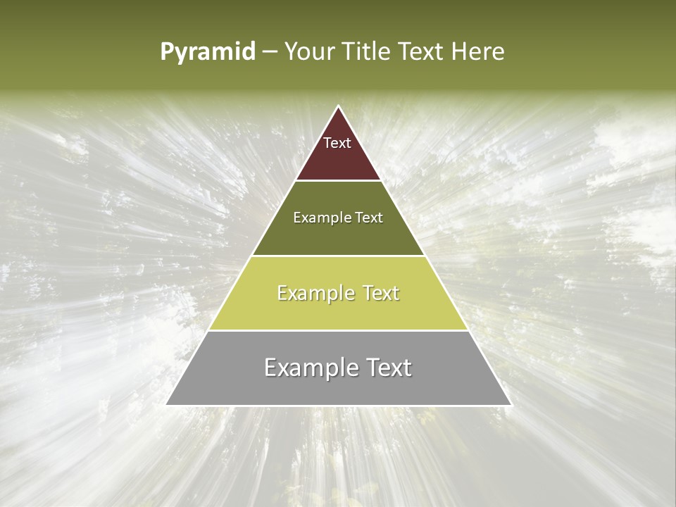 A Sun Burst In The Middle Of A Forest PowerPoint Template