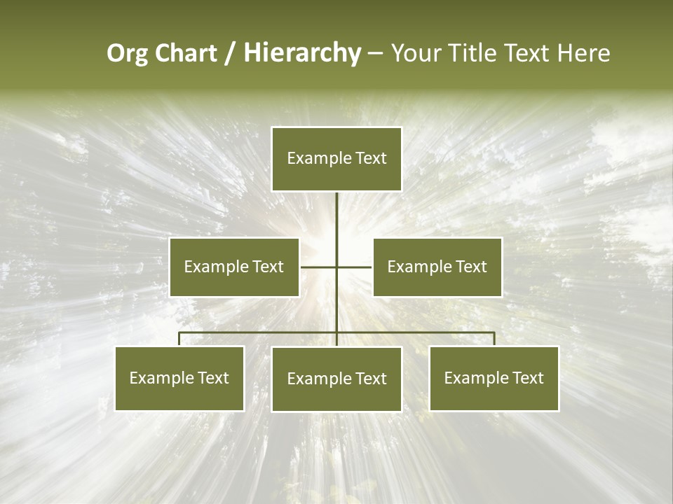 A Sun Burst In The Middle Of A Forest PowerPoint Template