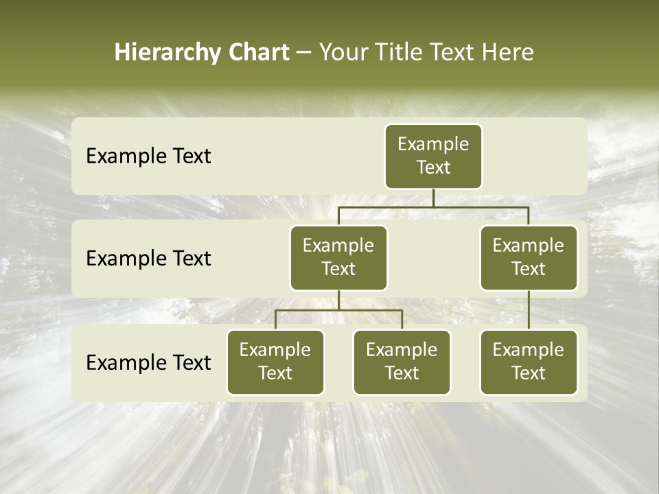 A Sun Burst In The Middle Of A Forest PowerPoint Template