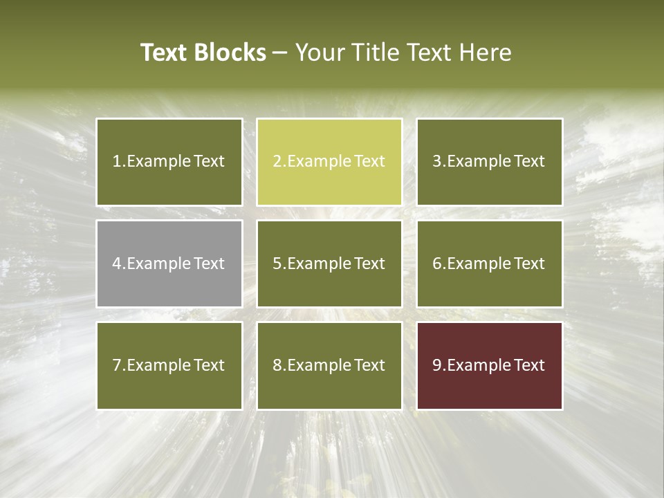 A Sun Burst In The Middle Of A Forest PowerPoint Template