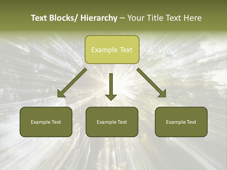 A Sun Burst In The Middle Of A Forest PowerPoint Template