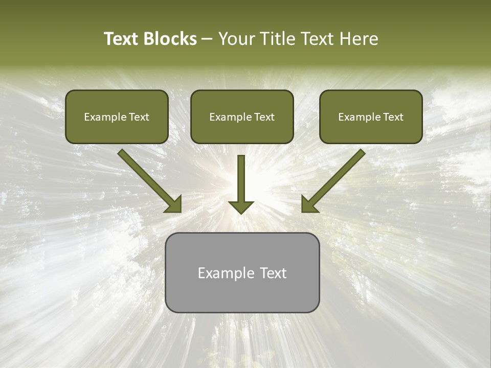 A Sun Burst In The Middle Of A Forest PowerPoint Template