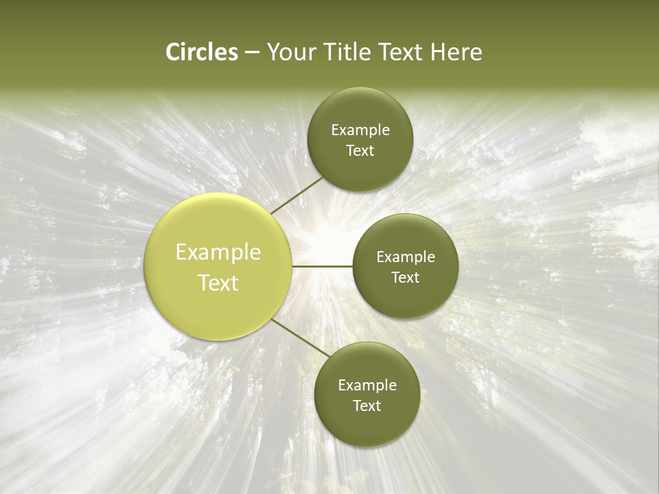 A Sun Burst In The Middle Of A Forest PowerPoint Template
