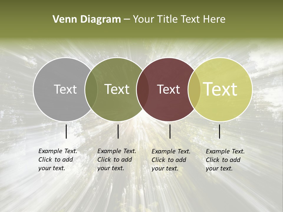 A Sun Burst In The Middle Of A Forest PowerPoint Template