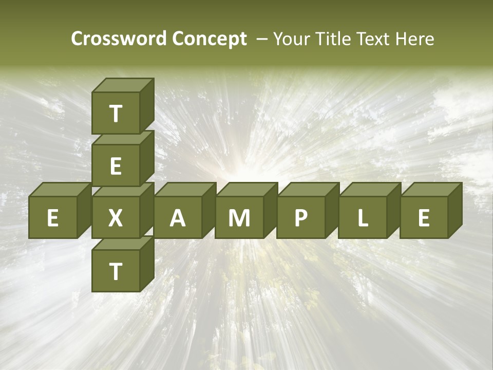 A Sun Burst In The Middle Of A Forest PowerPoint Template