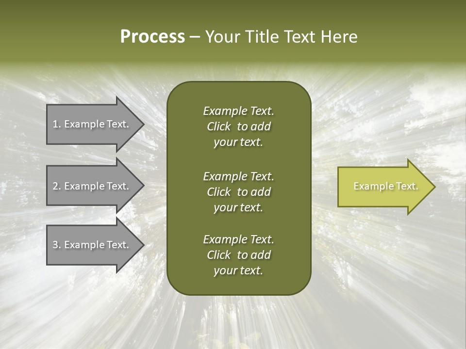 A Sun Burst In The Middle Of A Forest PowerPoint Template