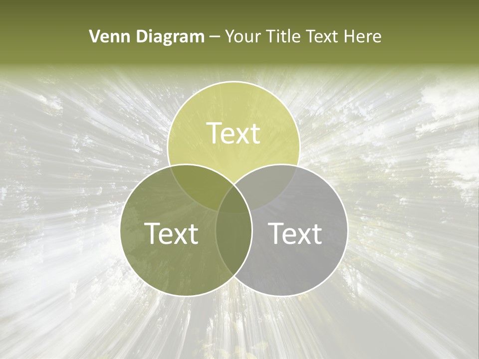 A Sun Burst In The Middle Of A Forest PowerPoint Template