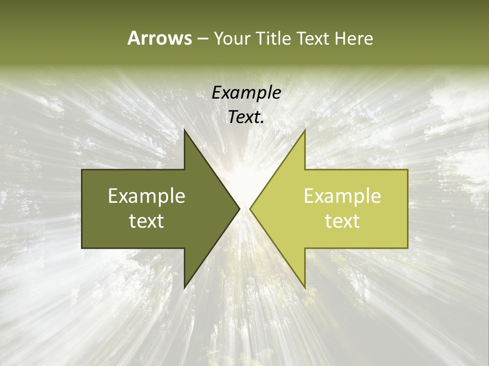 A Sun Burst In The Middle Of A Forest PowerPoint Template