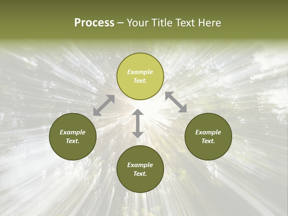A Sun Burst In The Middle Of A Forest PowerPoint Template