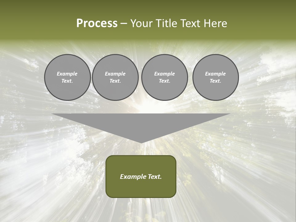 A Sun Burst In The Middle Of A Forest PowerPoint Template